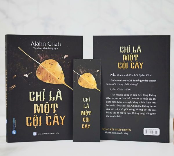 Như Một Cội Cây