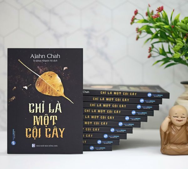 Như Một Cội Cây