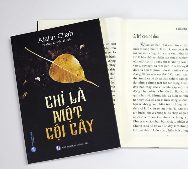 Như Một Cội Cây