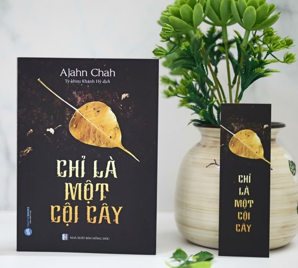 Như Một Cội Cây